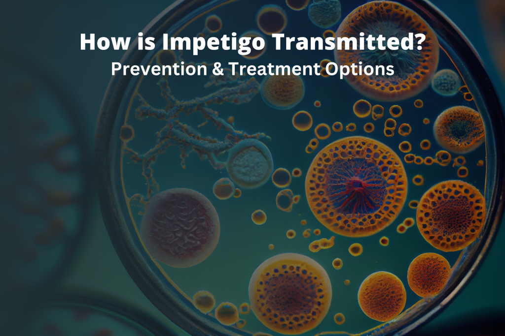 How is Impetigo Transmitted?