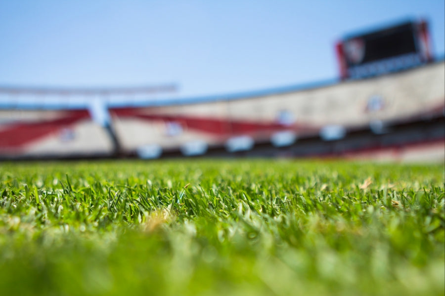 10 Qualities Every Synthetic Turf Disinfectant Should Have